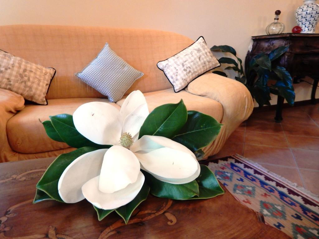 Bed&Breakfast La Siepe Πινερόλο Εξωτερικό φωτογραφία
